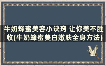 牛奶蜂蜜美容小诀窍 让你美不胜收(牛奶蜂蜜美白嫩肤全身方法)